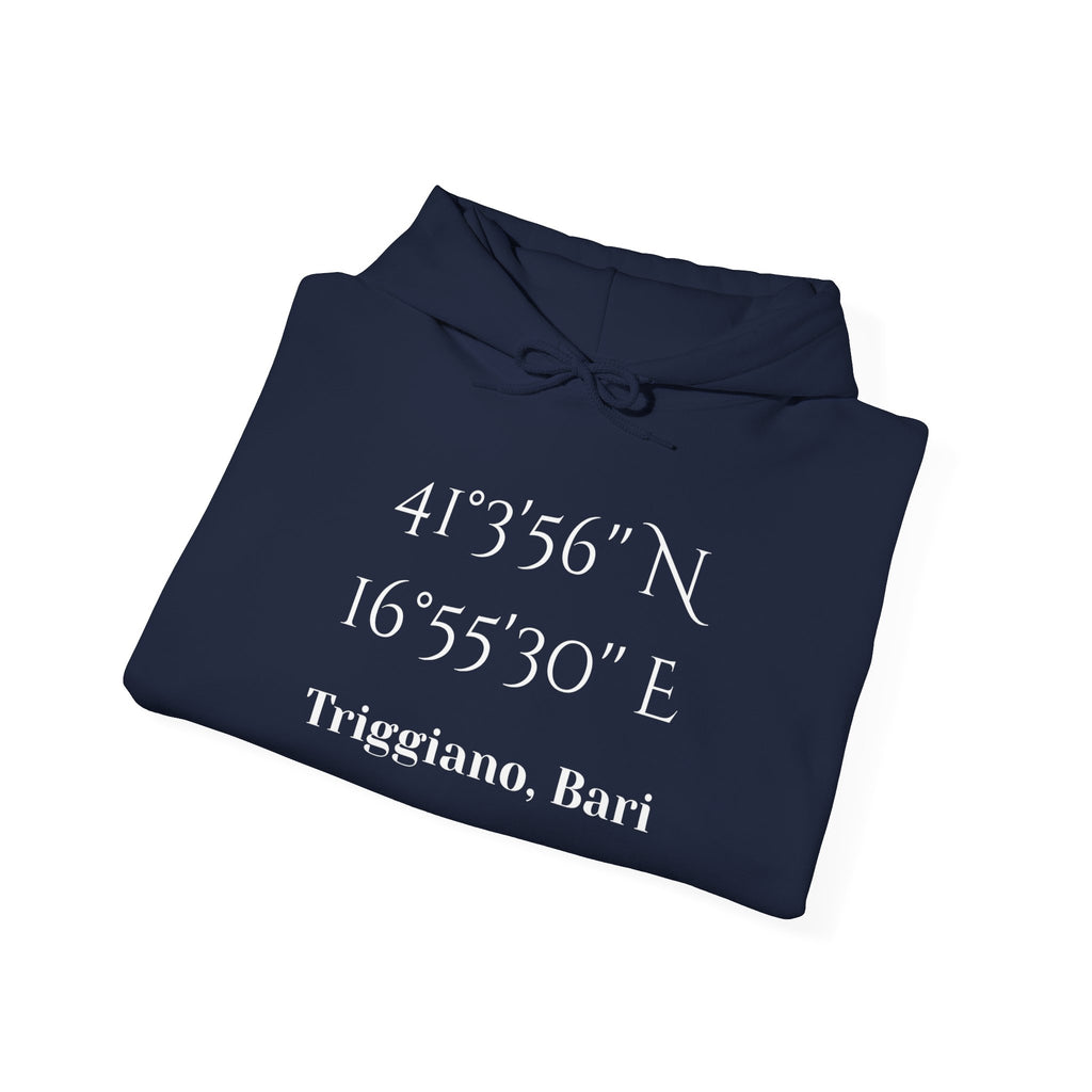 Triggiano, Bari Coordinates Hoodie — Personalized City Latitude & Longitude Sweatshirt