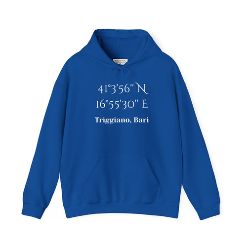 Triggiano, Bari Coordinates Hoodie — Personalized City Latitude & Longitude Sweatshirt