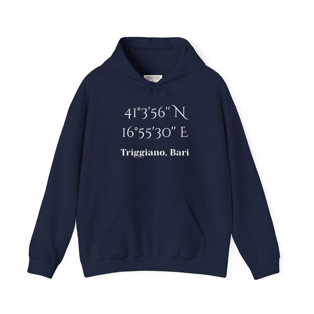 Triggiano, Bari Coordinates Hoodie — Personalized City Latitude & Longitude Sweatshirt